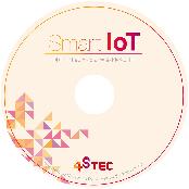 Smart IoT