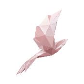 Bird - Paper interior