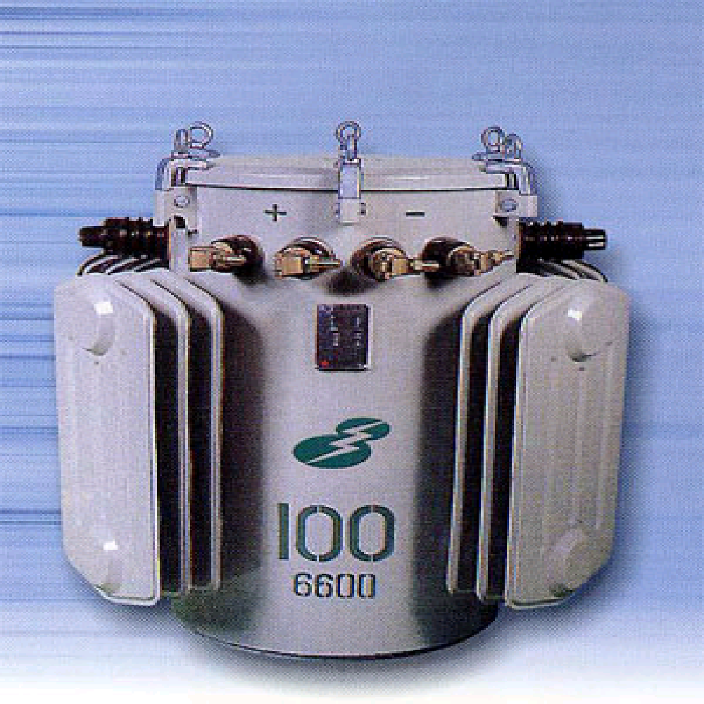 Single-phase Transformer for Electric supply (6.6/3.3KV) 