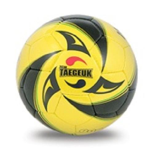 NEW TAEGEUK FUTSAL