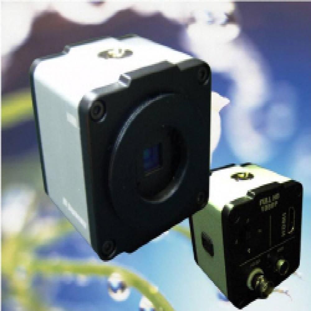 BlueChromakey Soulution (HD-SDI)