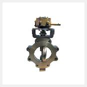 Triple Offset Metal Seat Butterfly Valve
