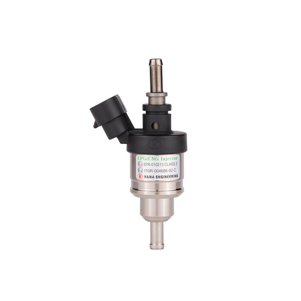 LPG CNG injector for passenger car (H2001)