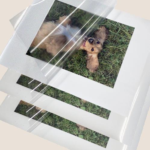 ANYSHEET Laminating Film A4 (100ct) for documents, Photos, Books, Clear Coating Embossed Matte