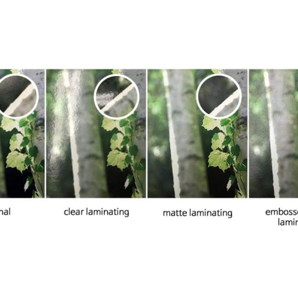 ANYSHEET Laminating Film A4 (100ct) for documents, Photos, Books, Clear Coating Matte