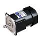 detail image1 Induction Motor