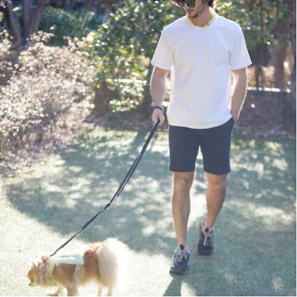 IDEAKOKO icicool Pet Vest (Patented Technology)