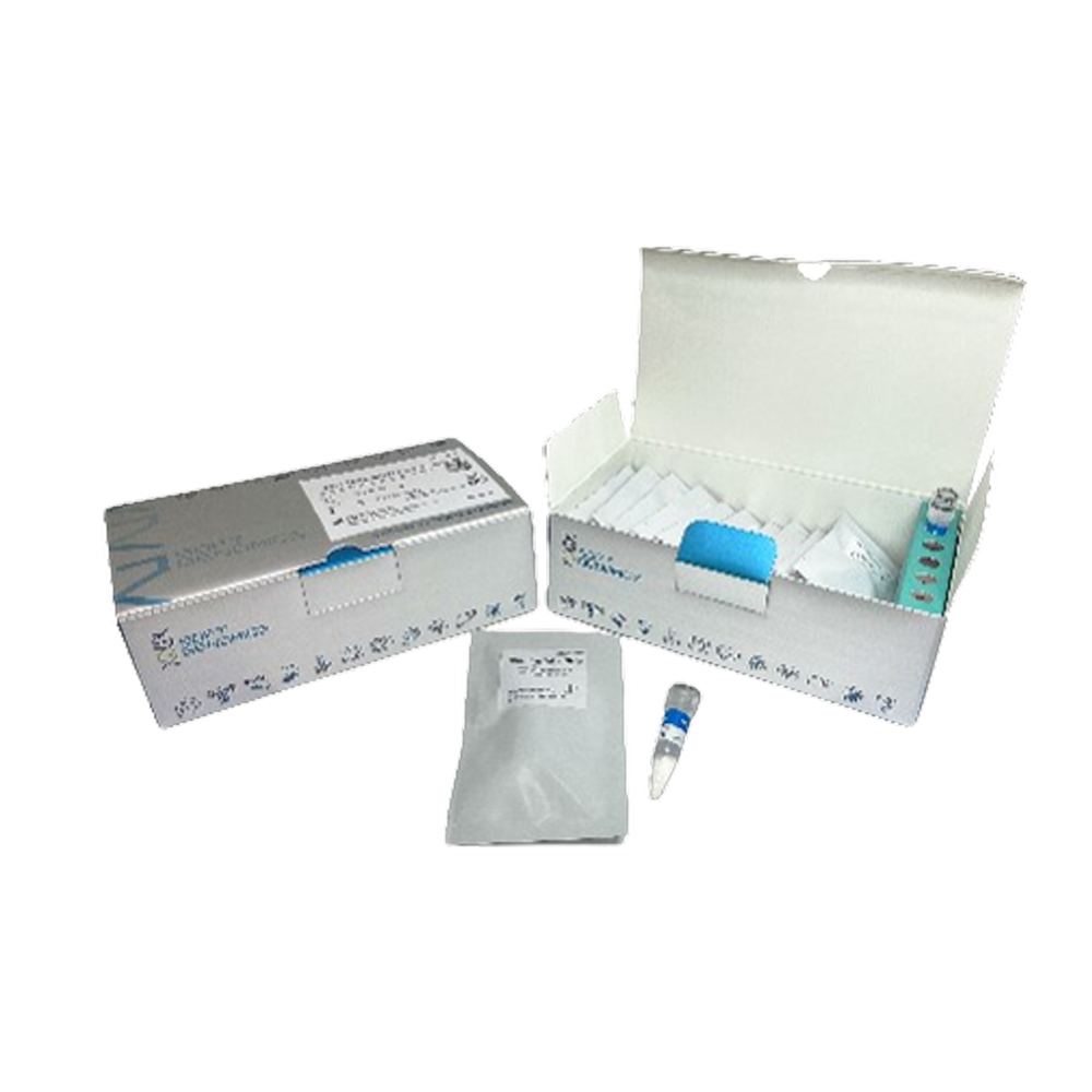 Artistics™ SARS-CoV-2 Colorimetric Assay Kit