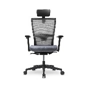 Multi-balance T10 Chair