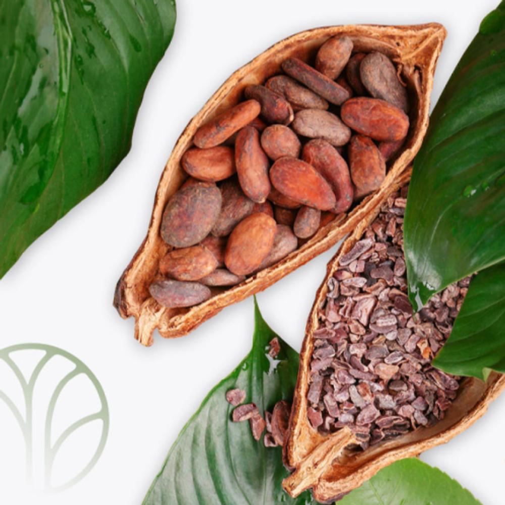 jeju seokchangpo  cacao nibs