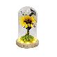 full image LED lucky sunflower glass dome mood light Gift