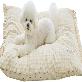 full image MOONGMING Pet Cushion for Summer/All Seasons, Safe Material, Comfortable Cushion for Dogs Puppies Ca