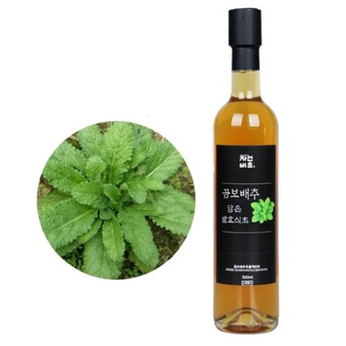 Gombo cabbage fermented vinegar