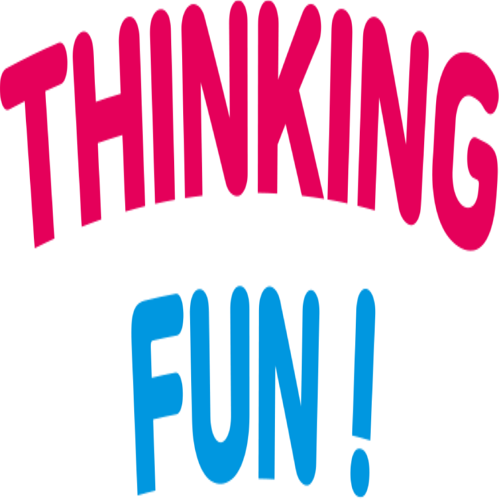 Thinking Fun Dual1